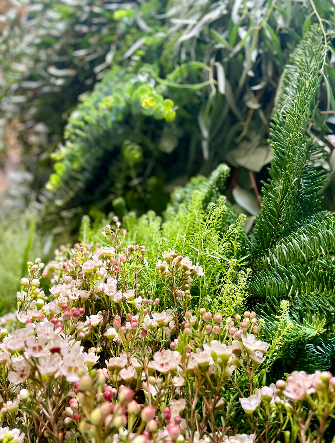 Made to order - Fresh foliage wreath - Large 30cm base.